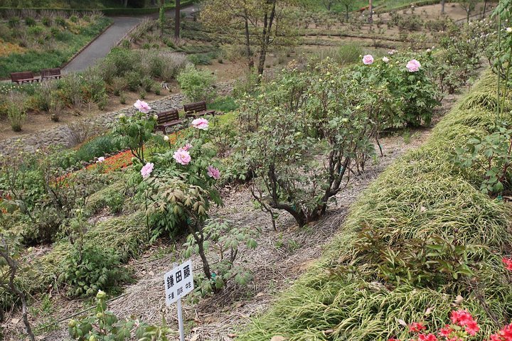 ��̕���