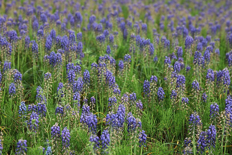 ��̕���