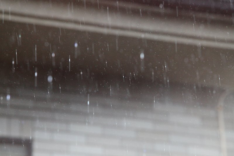 ��̕���