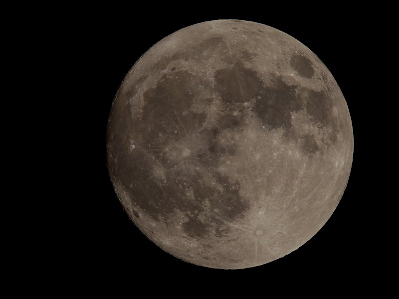 ��̕���