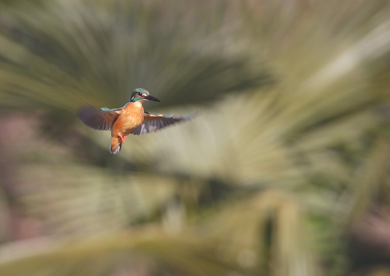 ��̕���