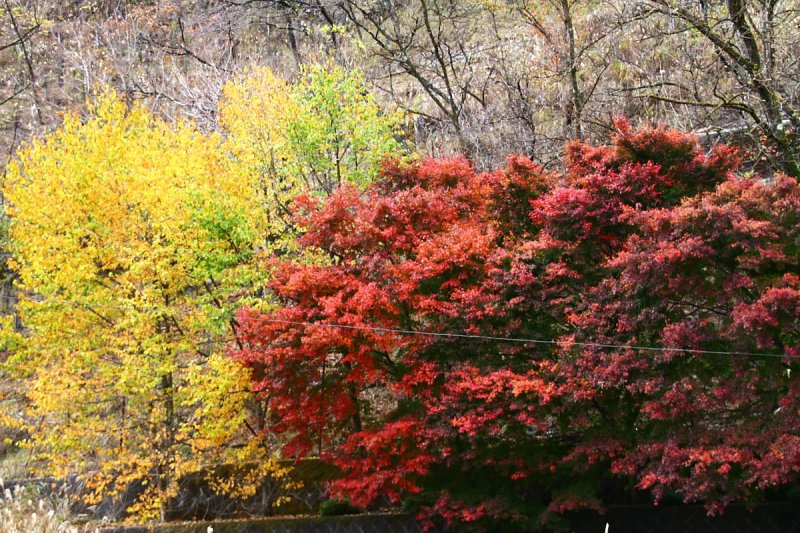 ��̕���