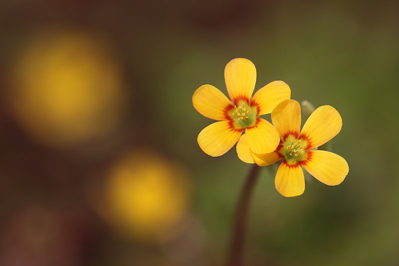 ��̕���