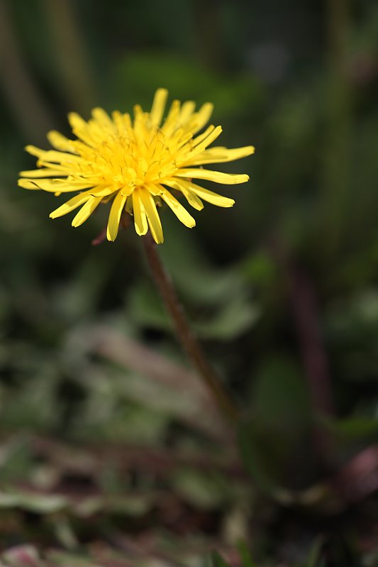 ��̕���