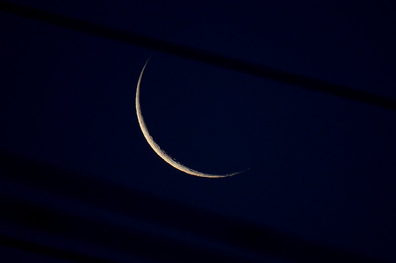 ��̕���