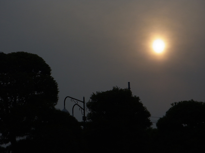 ��̕���