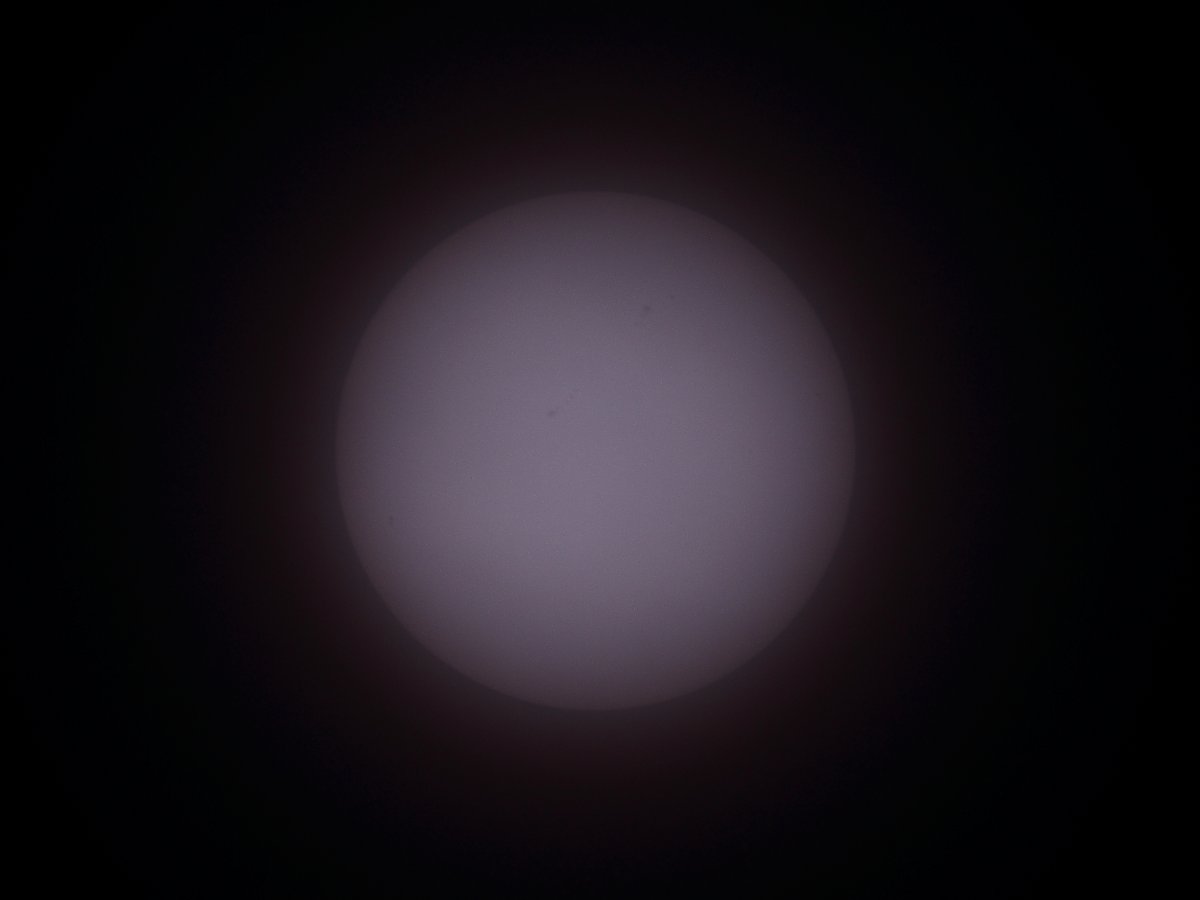 ��̕���