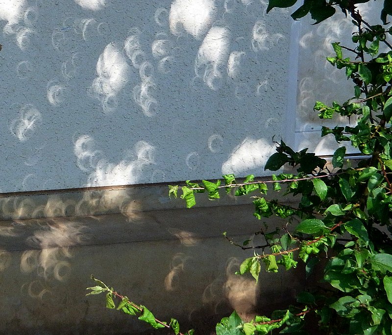 ��̕���