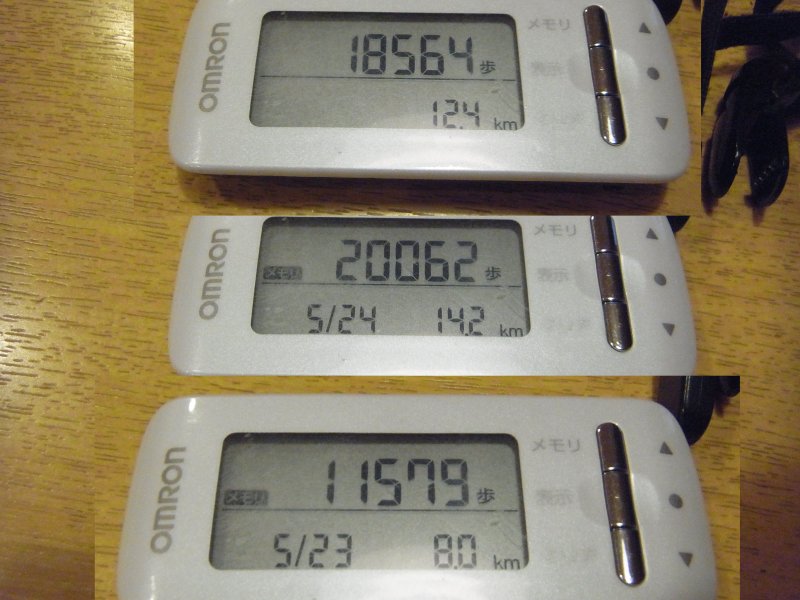 ��̕���