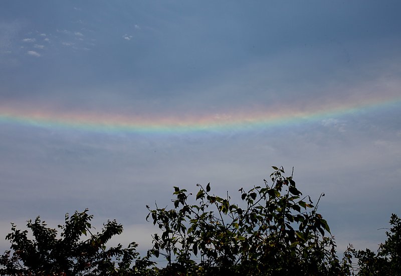 ��̕���