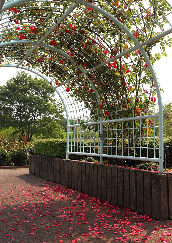 ��̕���