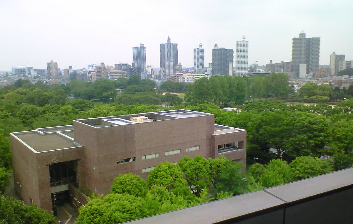 ��̕���