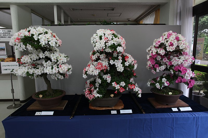 ��̕���