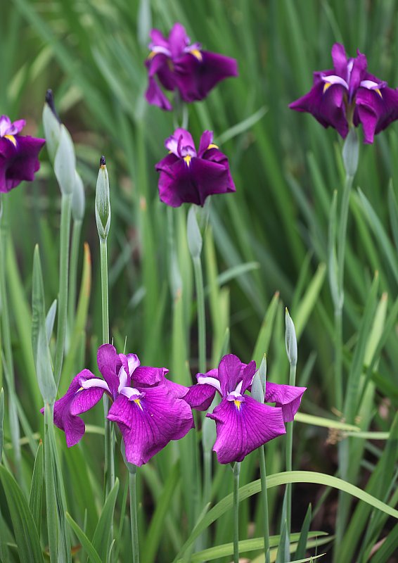 ��̕���