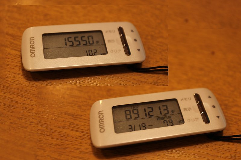 ��̕���