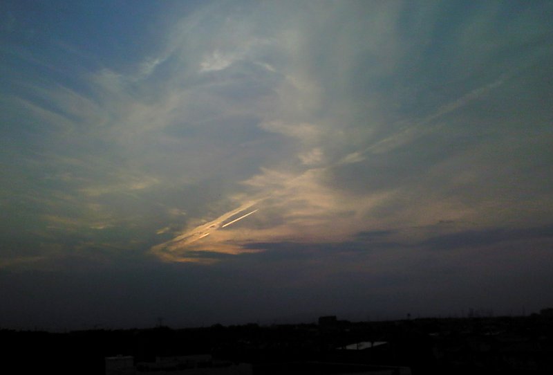 ��̕���