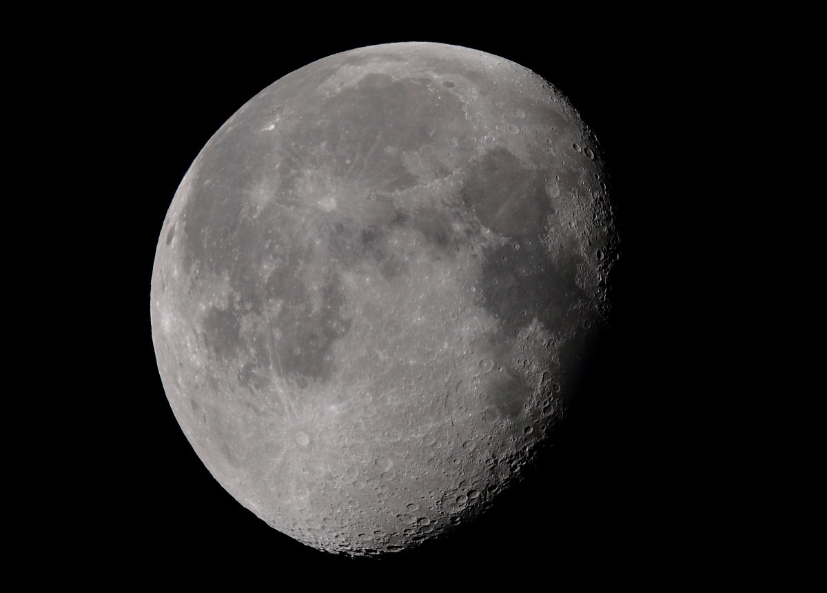 ��̕���