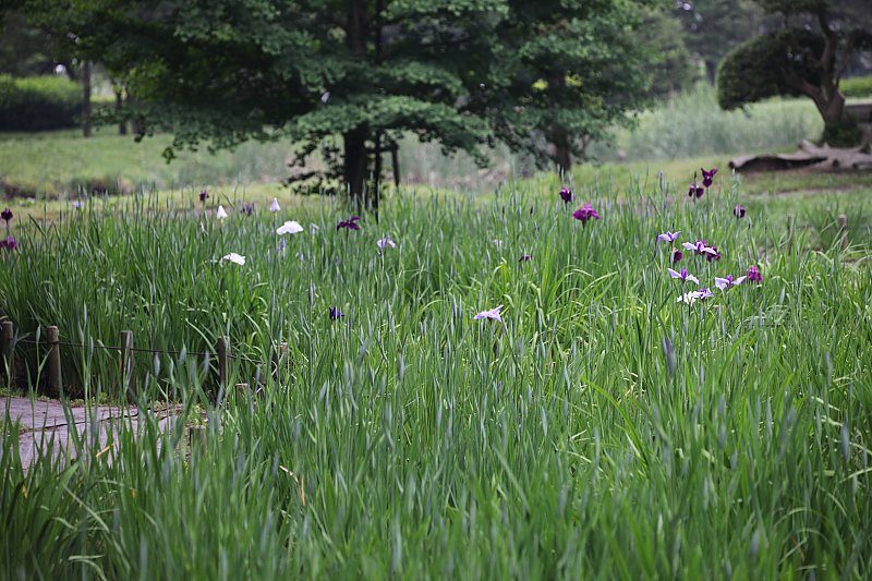 ��̕���