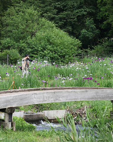 ��̕���