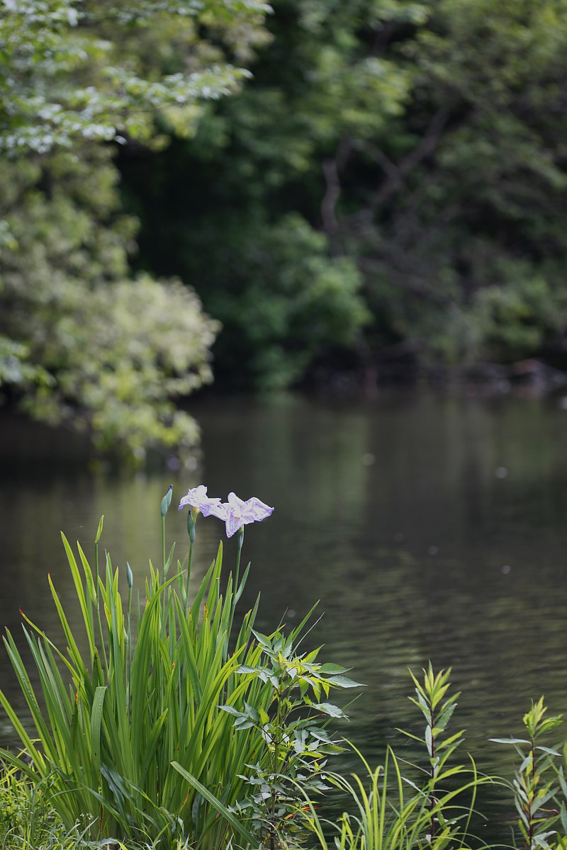 ��̕���