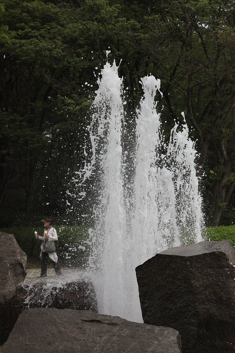 ��̕���