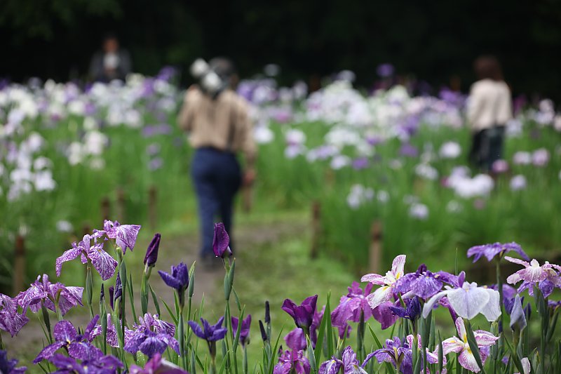 ��̕���