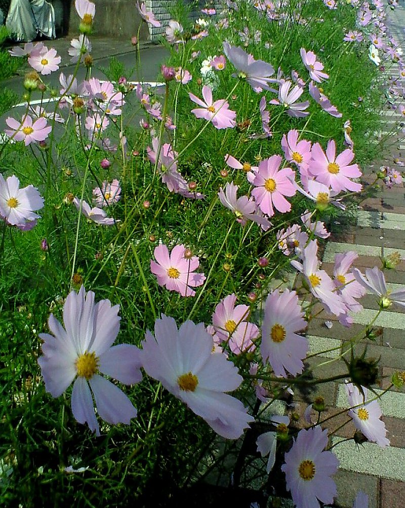 ��̕���