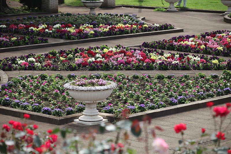 ��̕���