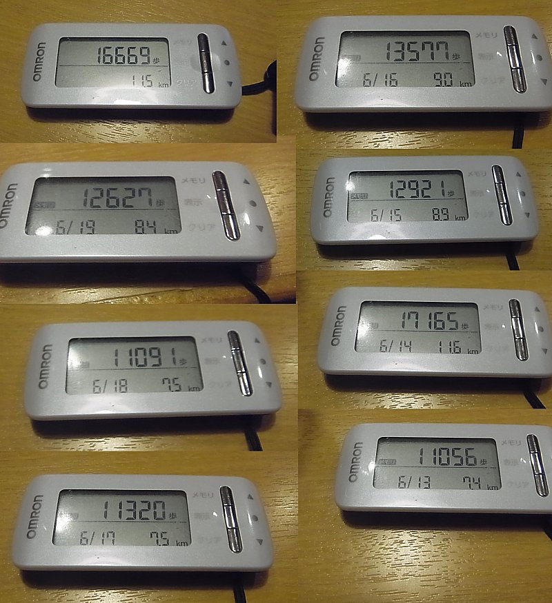 ��̕���