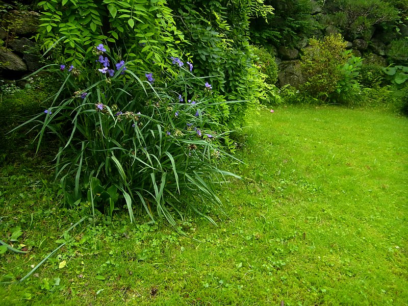 ��̕���