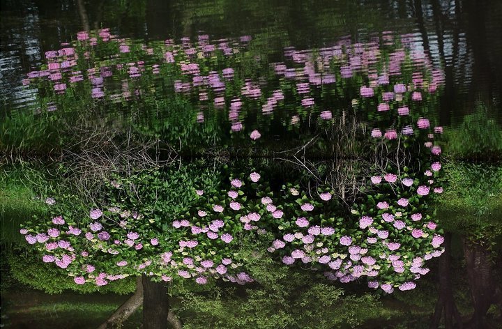 ��̕���