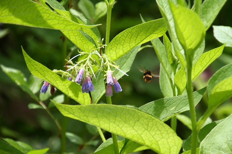 ��̕���