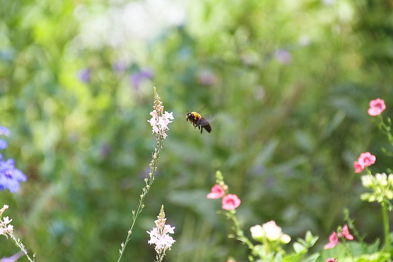 ��̕���