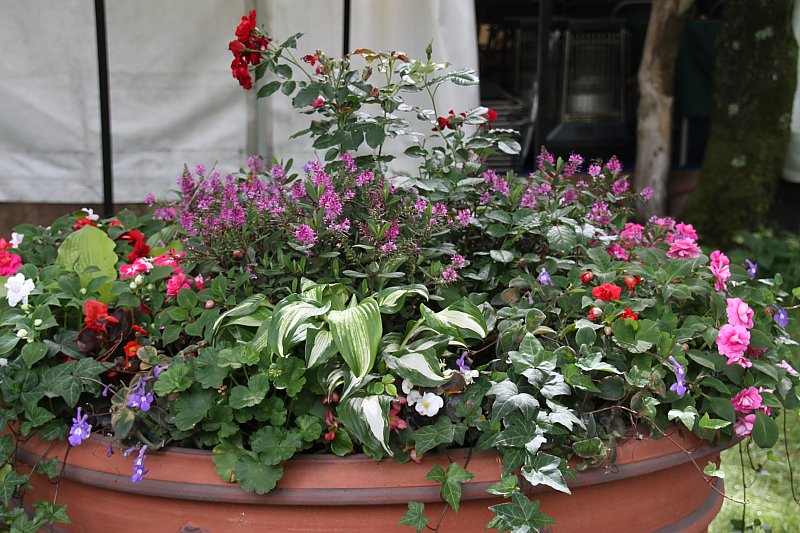 ��̕���