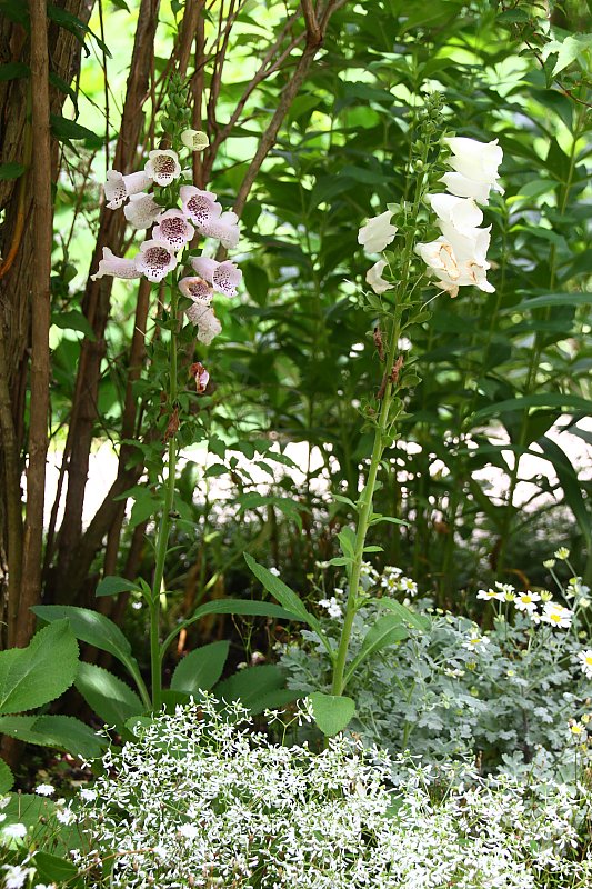 ��̕���