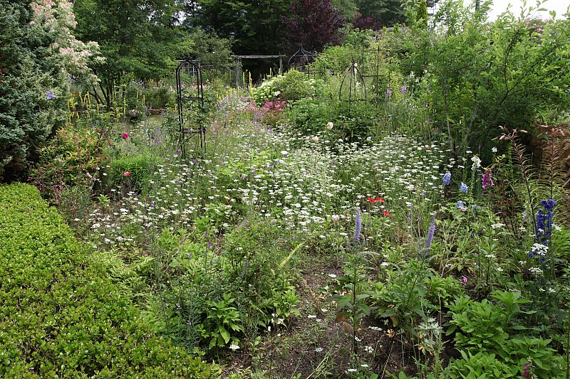 ��̕���