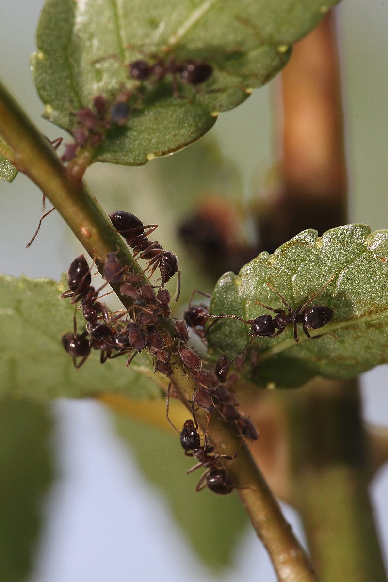 ��̕���