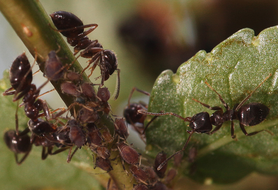 ��̕���