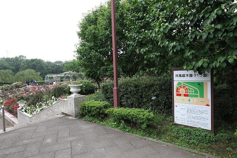 ��̕���