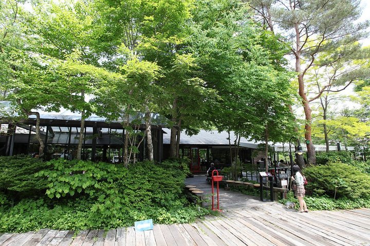 ��̕���