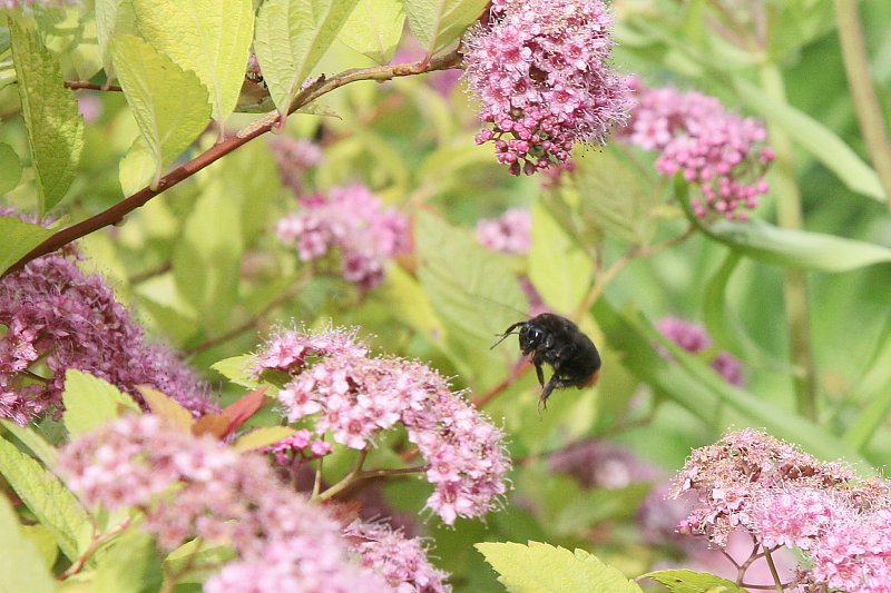 ��̕���