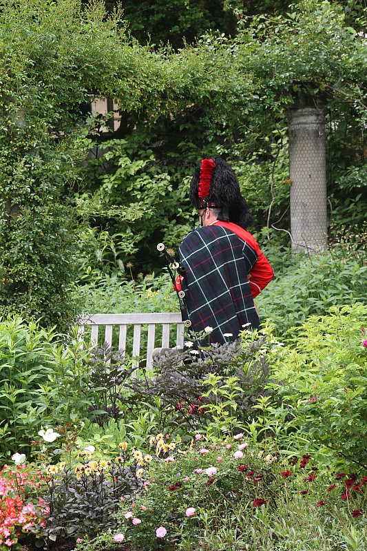 ��̕���