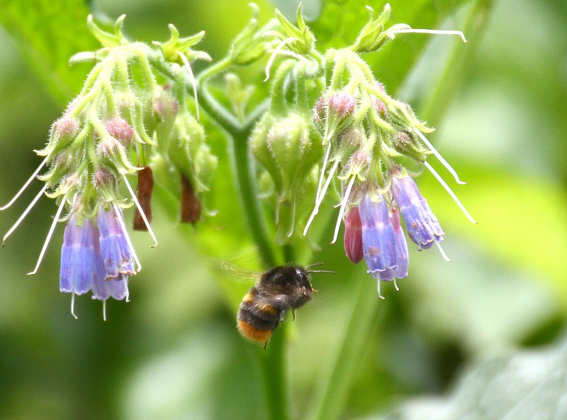 ��̕���