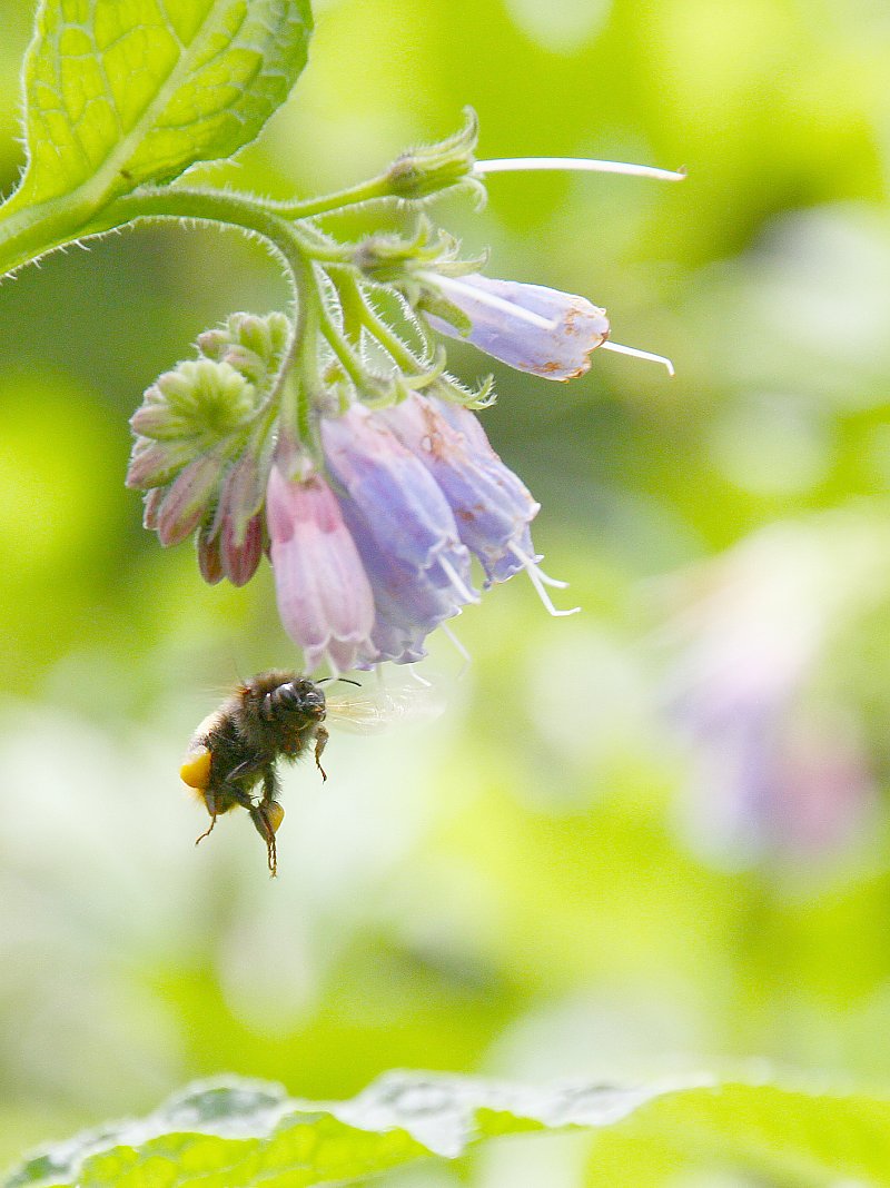 ��̕���