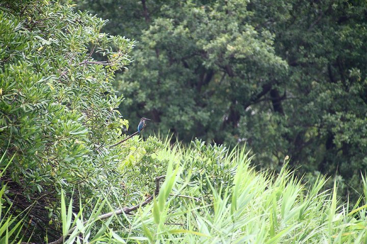 ��̕���