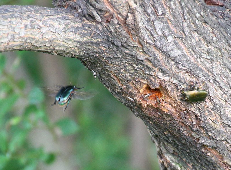 ��̕���