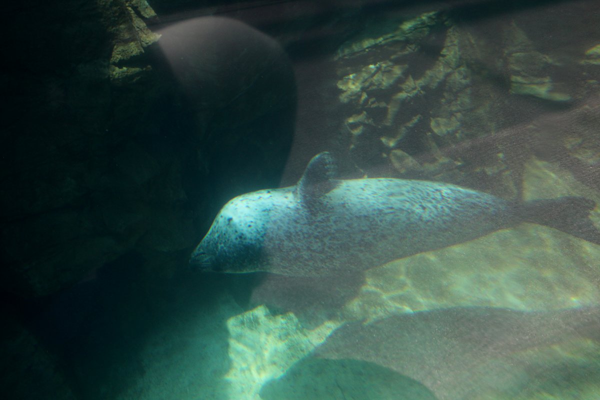 ��̕���