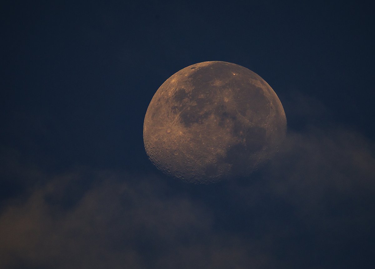 ��̕���