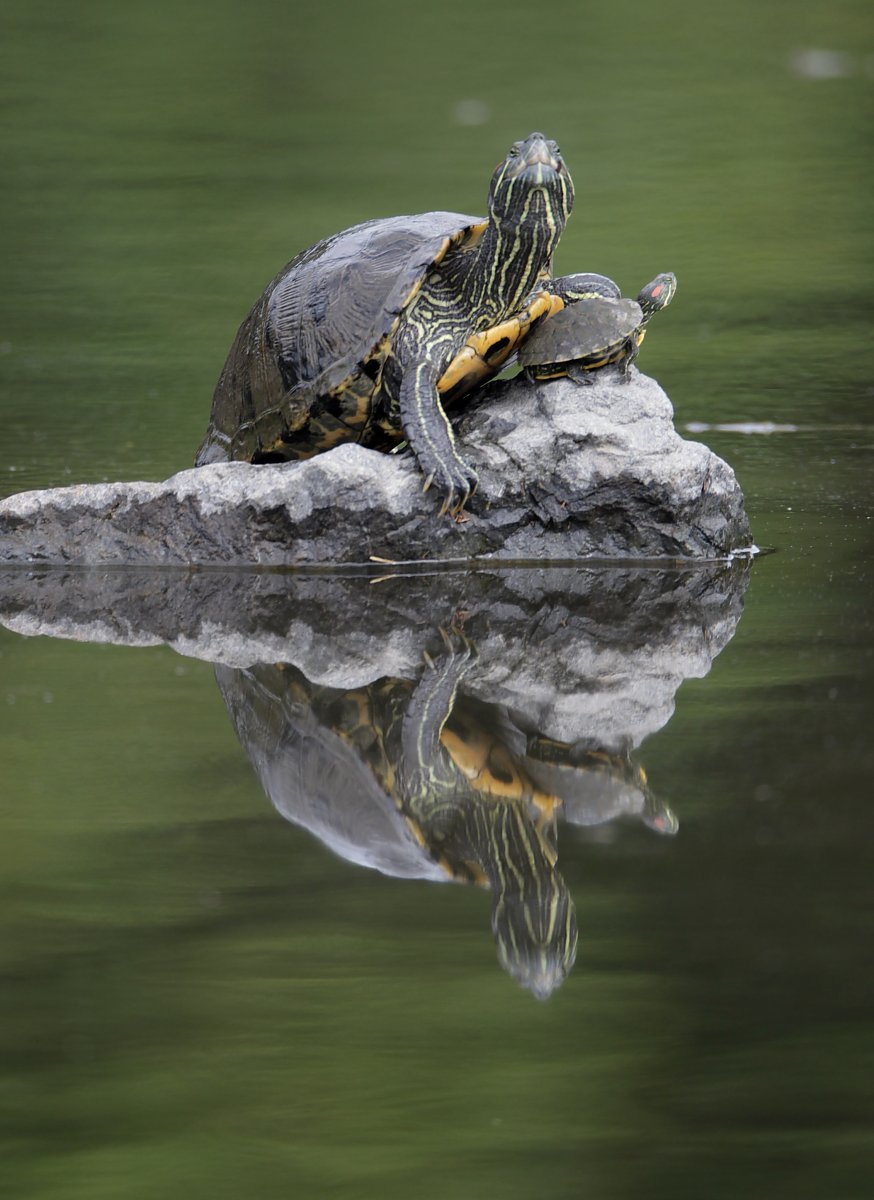 ��̕���