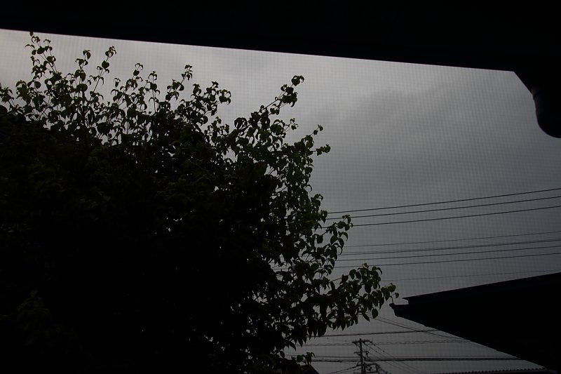 ��̕���